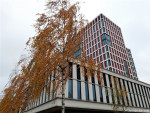 Stadhuis